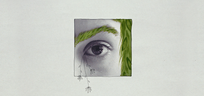 Wildflower